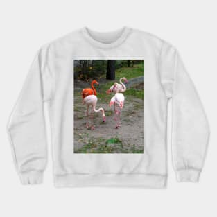 Pink and red flamingos Crewneck Sweatshirt